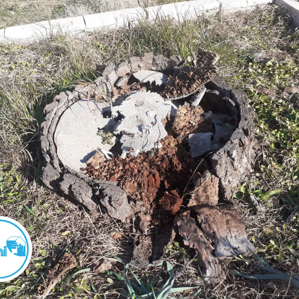 Termites dans le Gard - Christophe GALEA PAMI