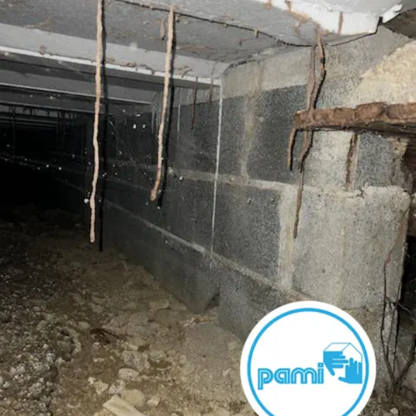 Termites dans le Gard - Yohann PUECH