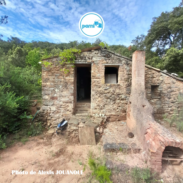 Termites dans le département de l'Hérault - PAMI - Alexis JOUANOLE