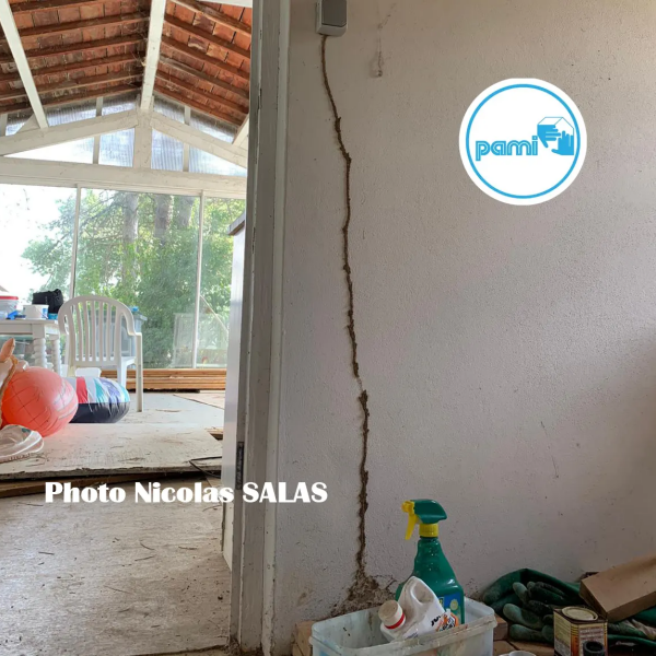 Termites dans le TARN - 81 - Nicolas SALAS