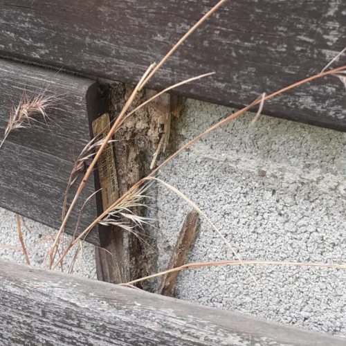 Traitement termites - PAMI 13 - La couronne - Christophe GALEA