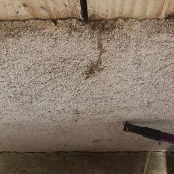 Traitement termites - PAMI 09 - François MADEC