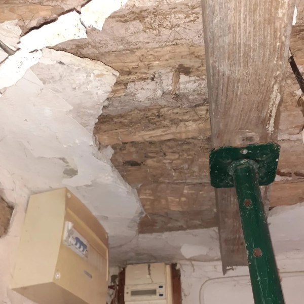 Traitement termites - PAMI 11 - Alexis JOUANOLE