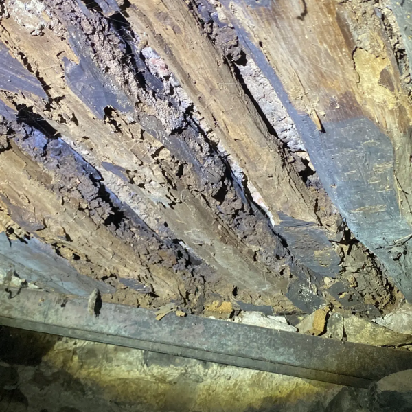 Traitement termites - PAMI 11 - Alexis JOUANOLE