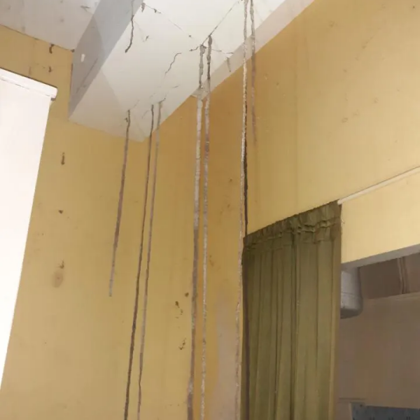 Traitement termites - PAMI 11 - Alexis JOUANOLE