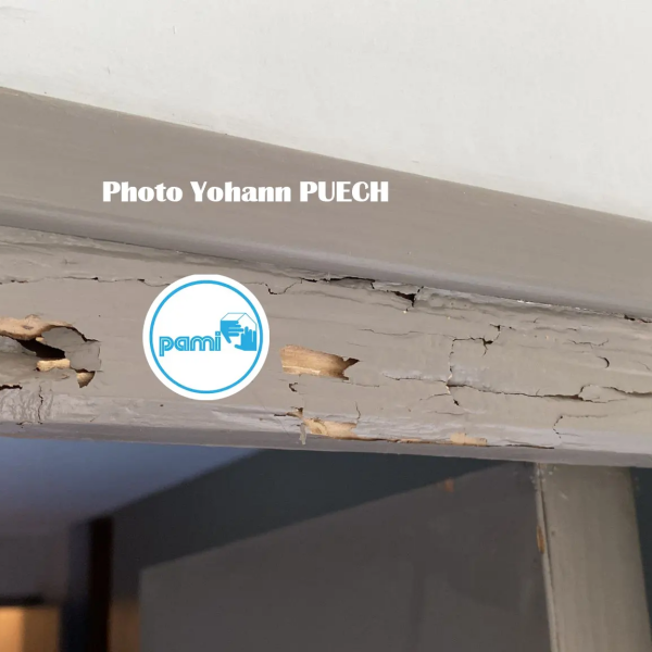 Traitement termites dans le LOT - 46 - Yohann PUECH