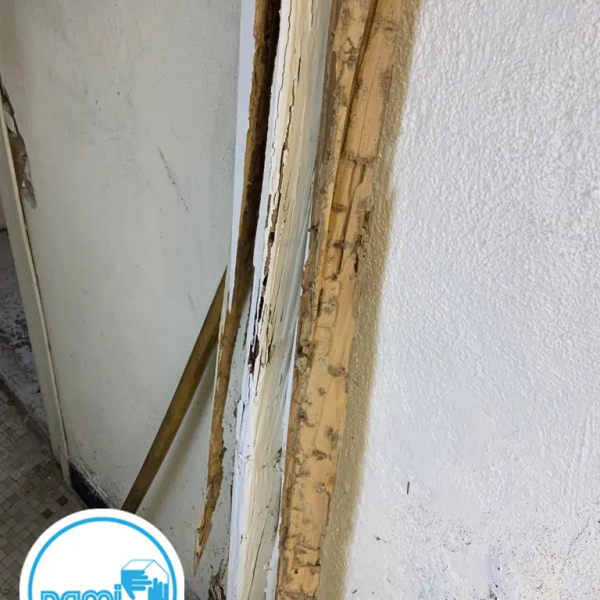 Termites dans l'aveyron - Nicolas SALAS