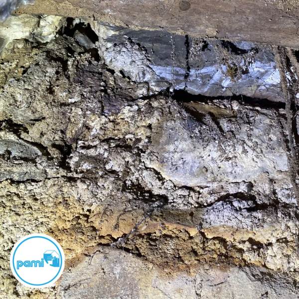 Termites dans l'aveyron - Yohann PUECH