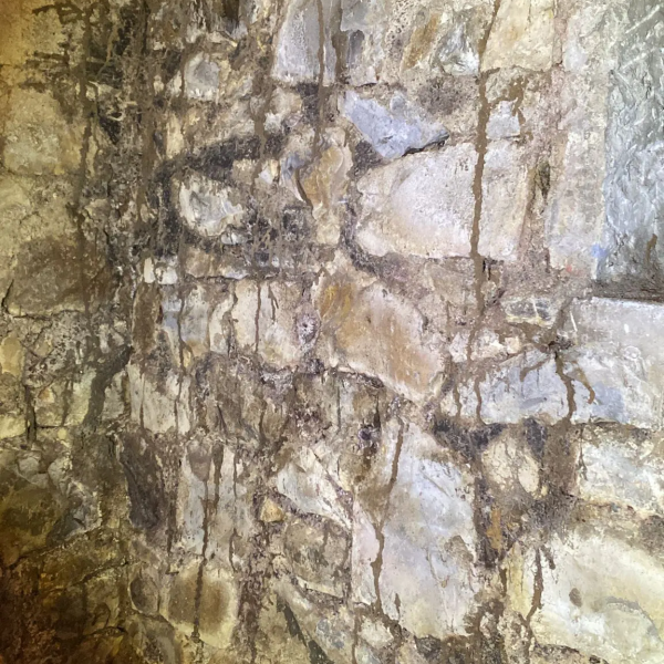 Termites dans l'aveyron - Yohann PUECH