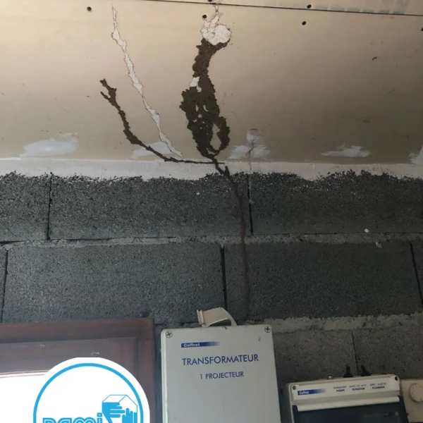 Termites en Haute-Garonne - François MADEC - PAMI