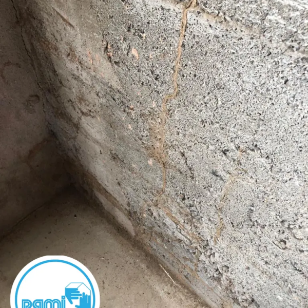 Termites en Haute-Garonne - François MADEC - PAMI