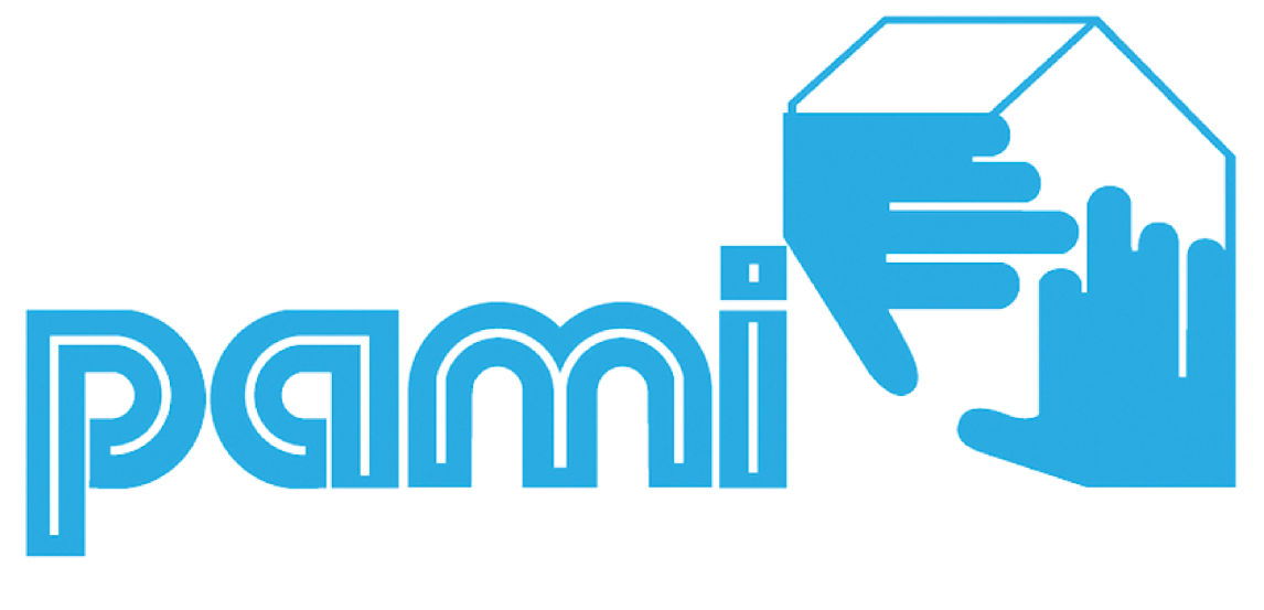 traitement-termites-pami