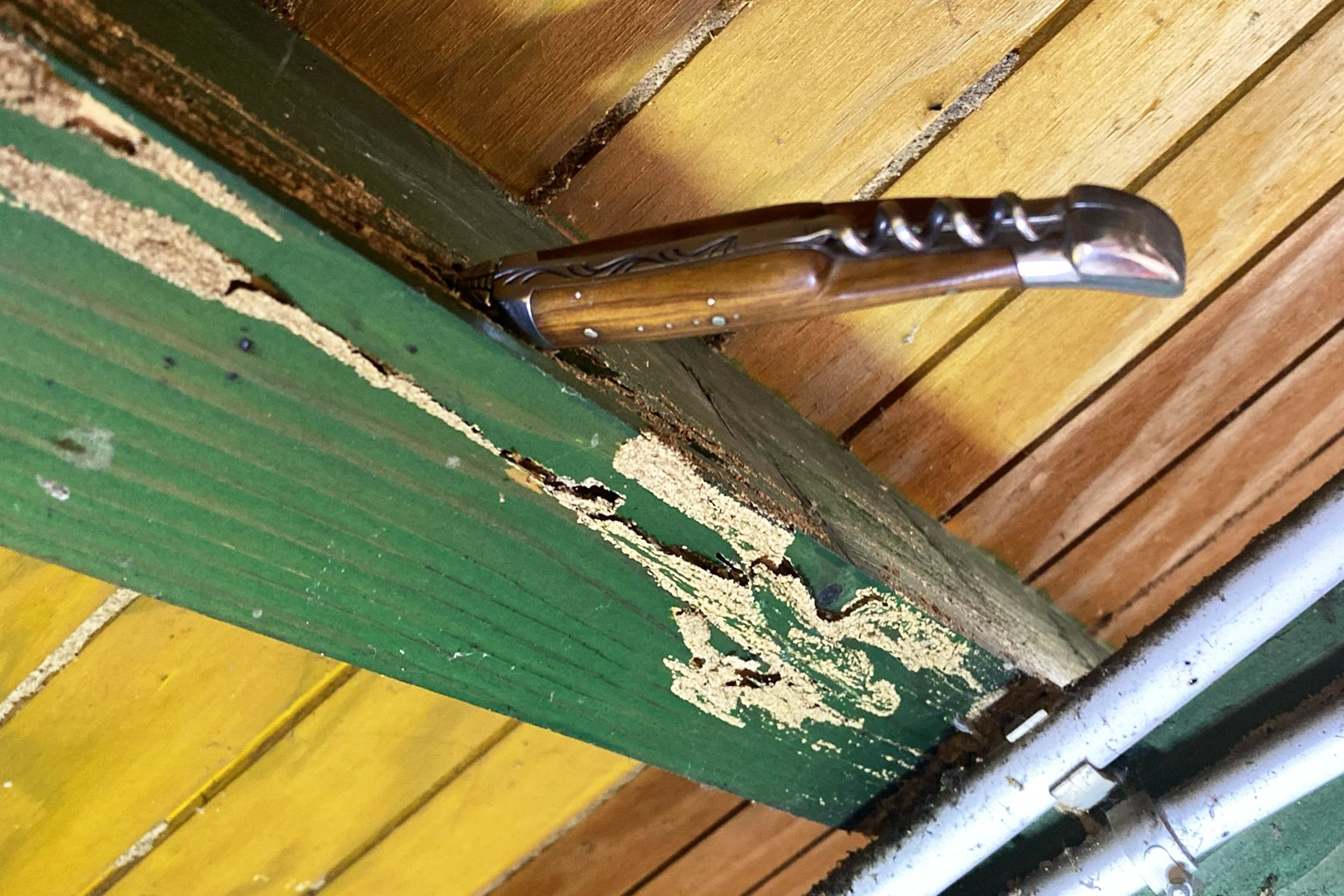 Sondage d'une poutre pour rechercher une infestation de termites