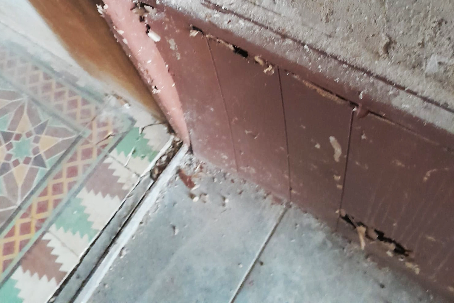 Bois attaqué par les termites et présentant des galeries internes