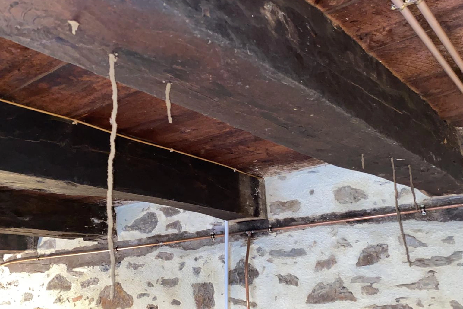 Alexis Jouanole PAMI 11 détectant des cordons de termites à Davejean