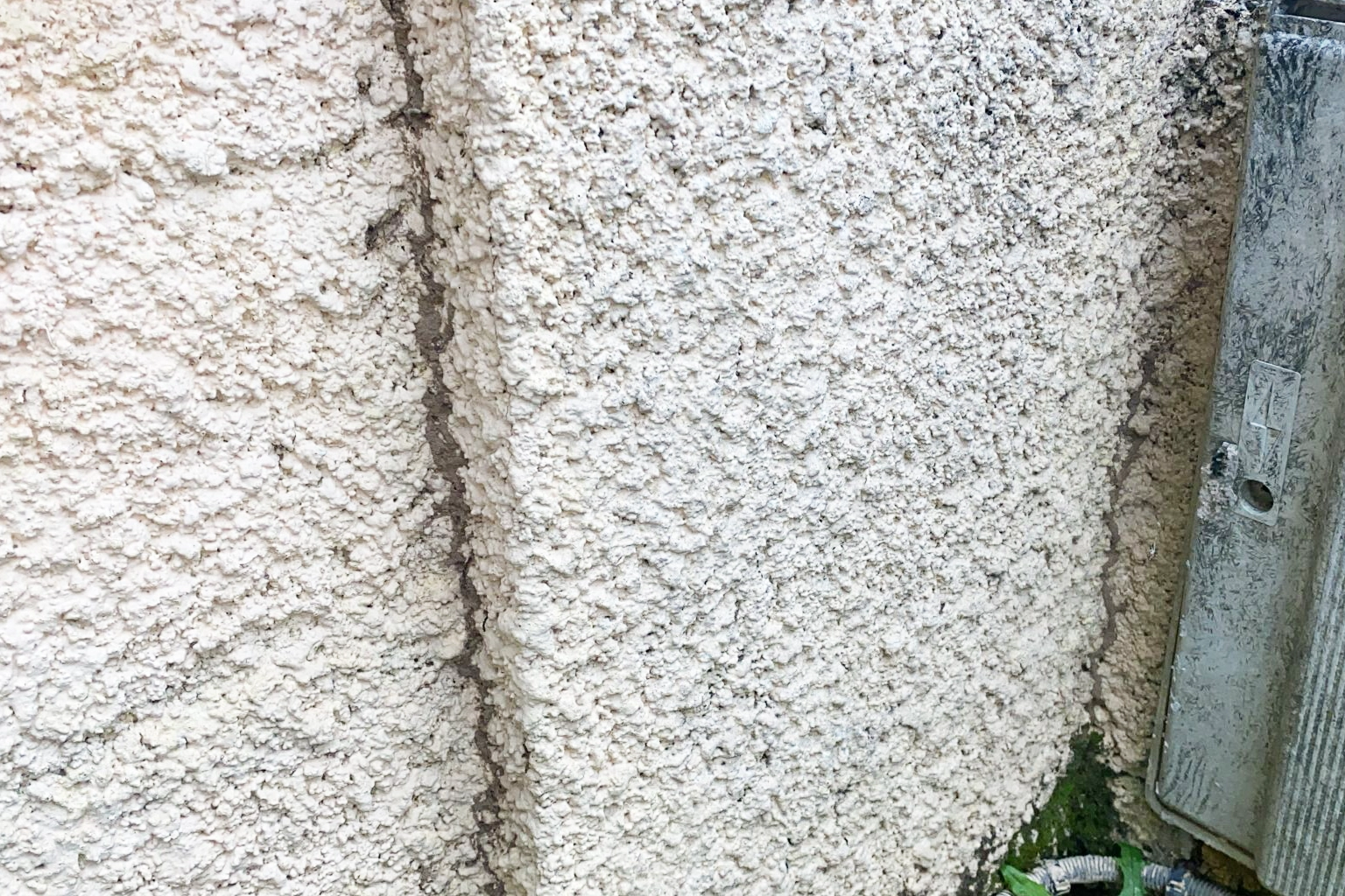 Cordonnet de terre de termites remontant le long d'un mur
