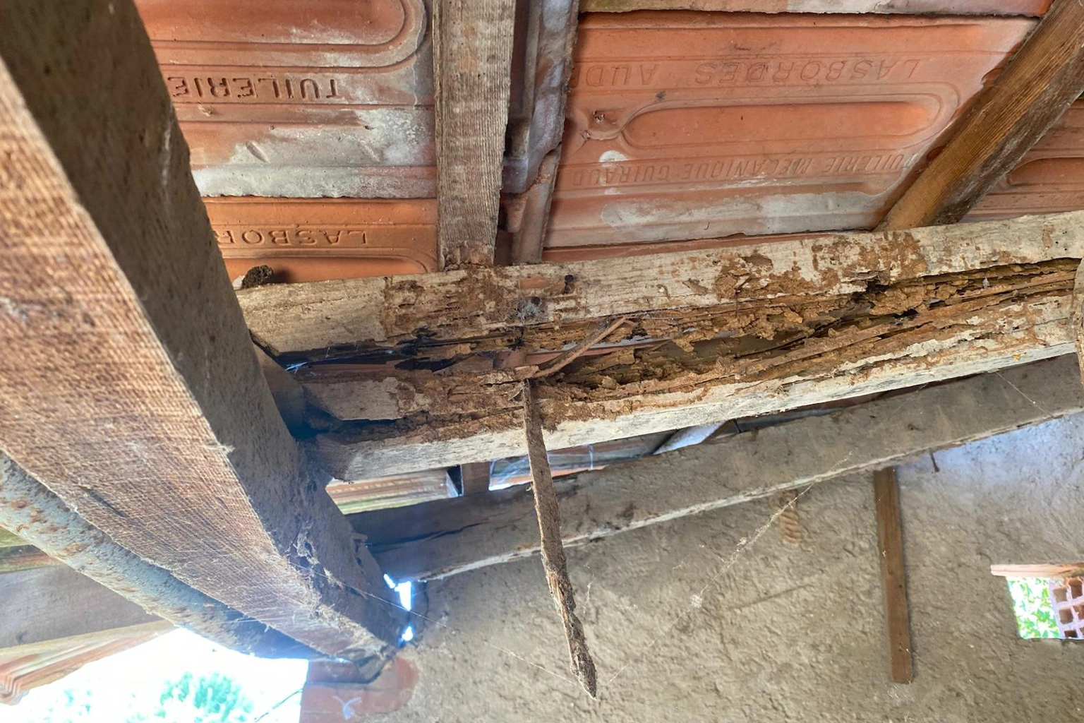Charpente en bois présentant des dégradations dues aux termites