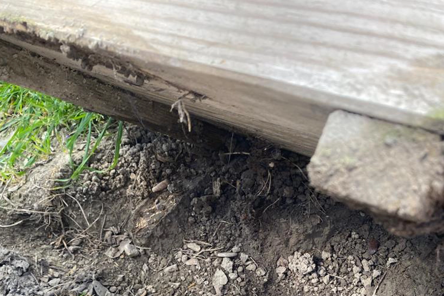 Technicien PAMI réalisant un diagnostic termites dans le Vaucluse