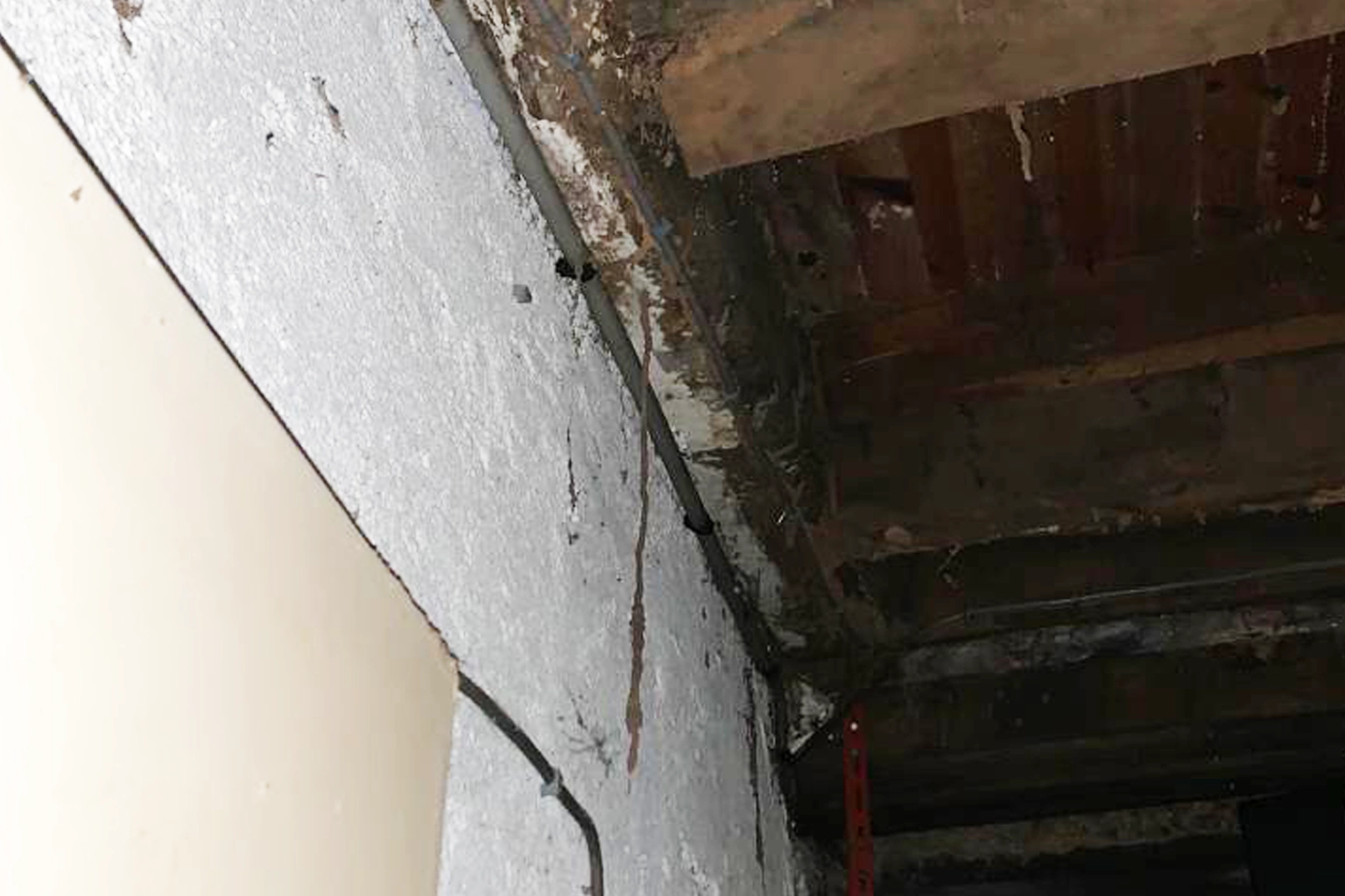Nicolas Salas PAMI 12 examinant des termites dans un bâtiment de mairie