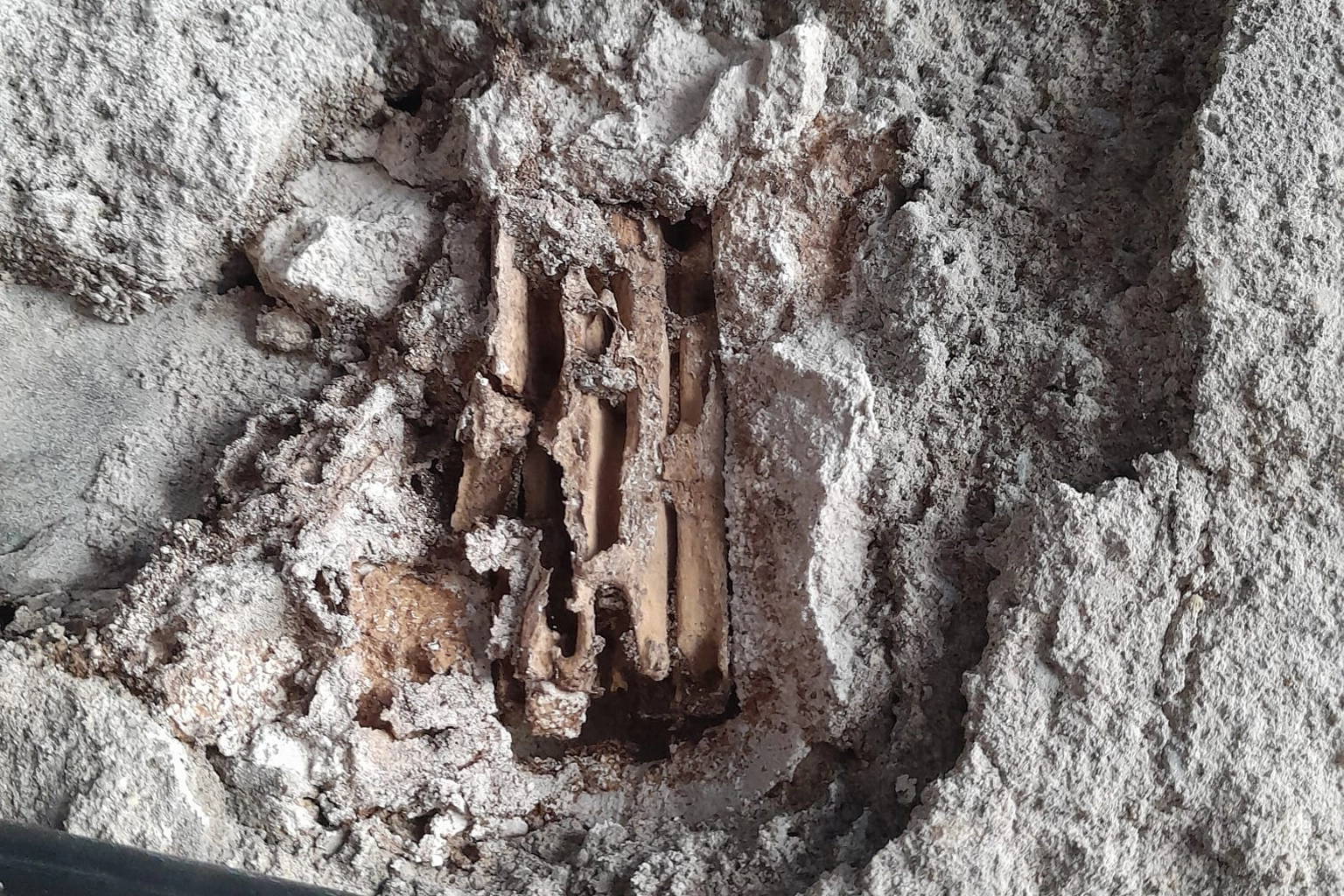 Diagnostic termites à Moulin-Neuf, seule commune classée en Ariège