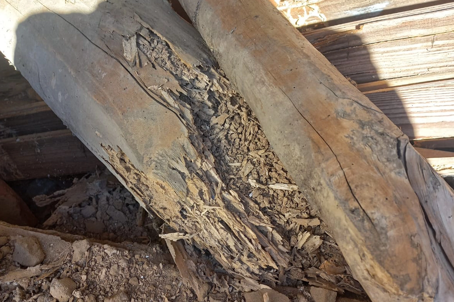 Termites détectés à Nohic par PAMI 82