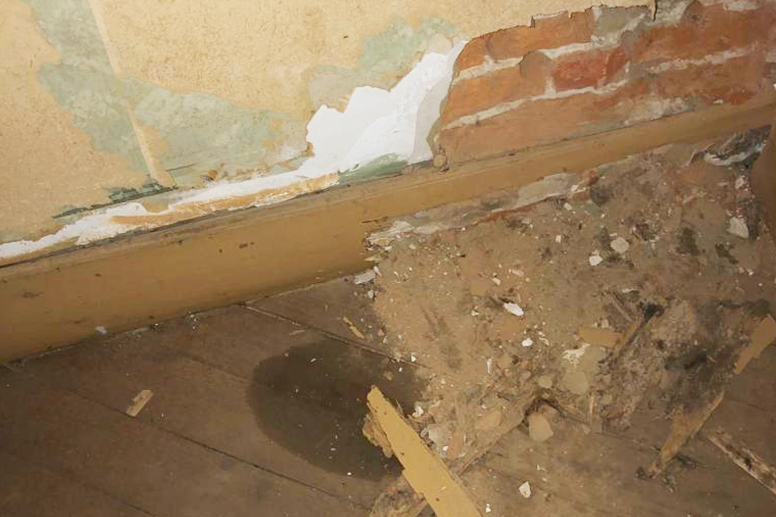 Traitement anti-termites à Blagnac