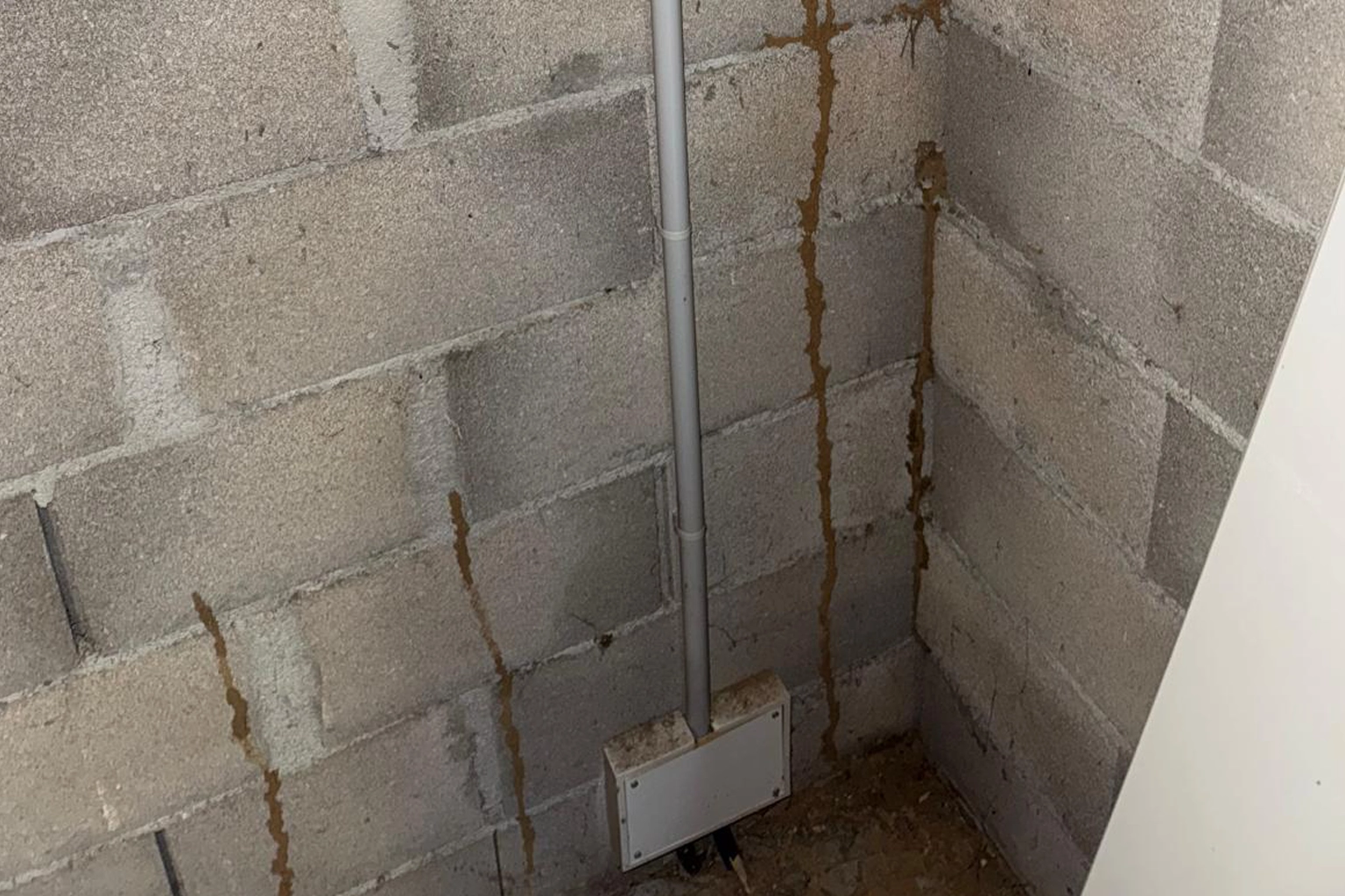 Diagnostic et traitement anti-termites à Cahors