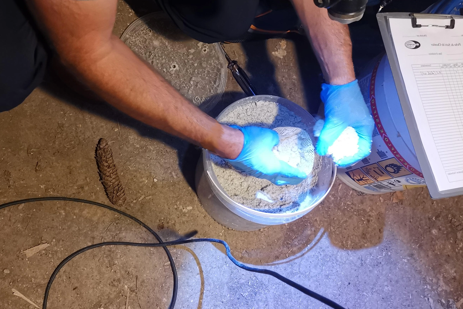 Traitement anti-termites à Carmaux par PAMI 81