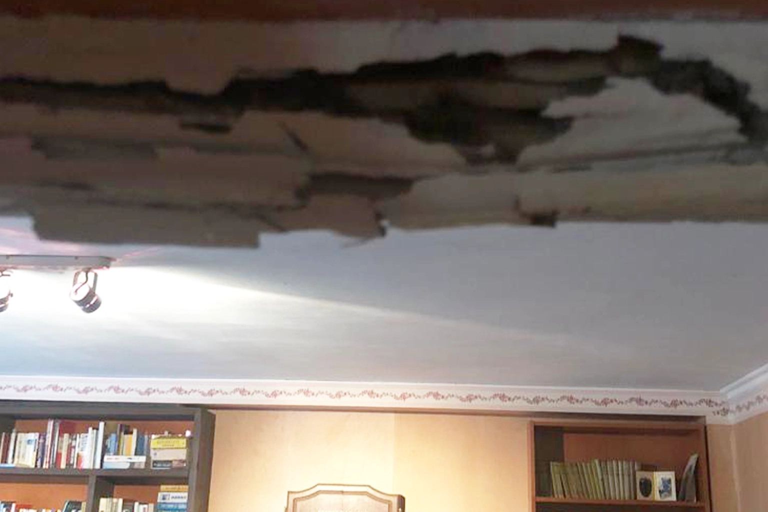Traitement anti-termites à Colomiers