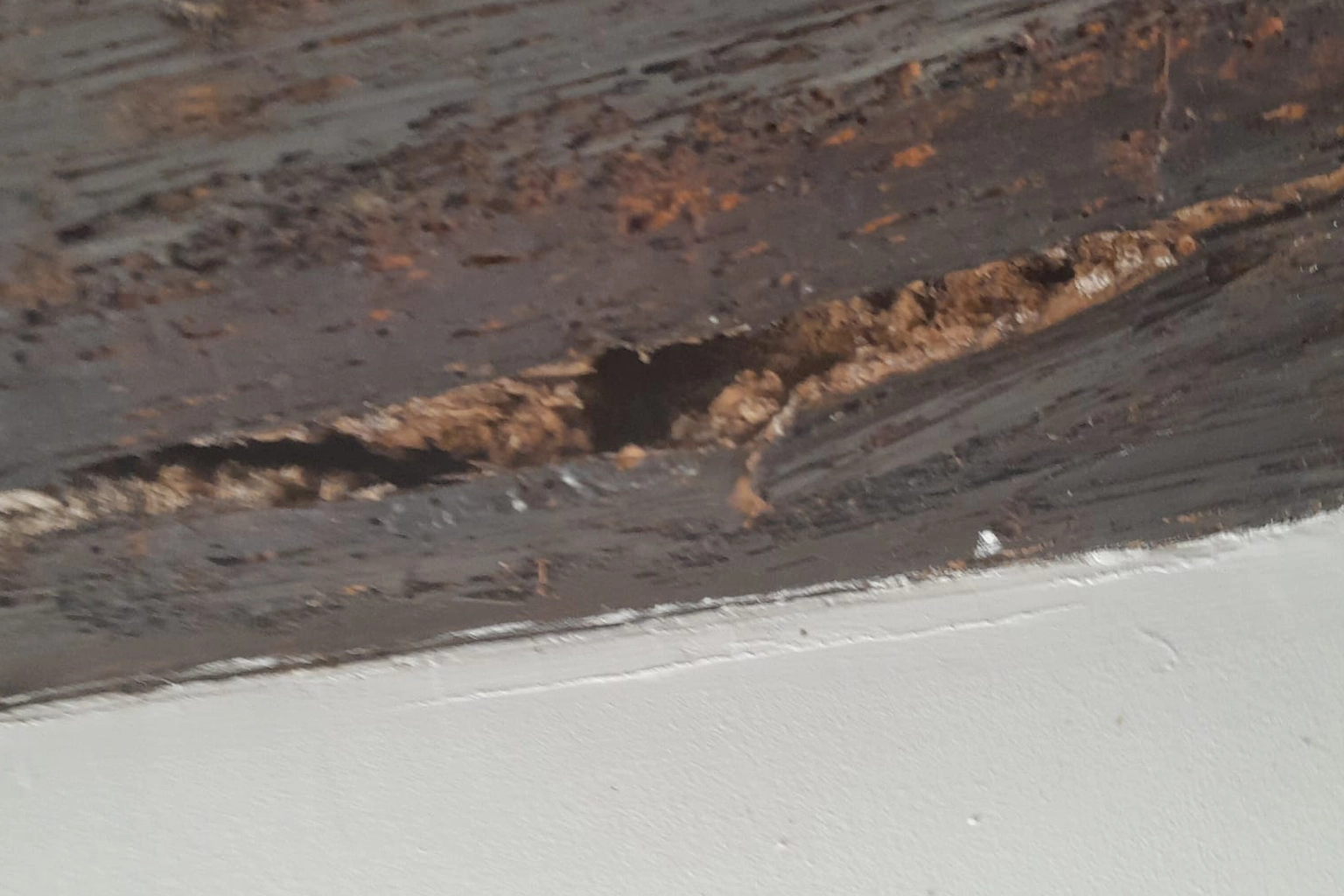 Traitement anti-termites à L'Isle-sur-la-Sorgue