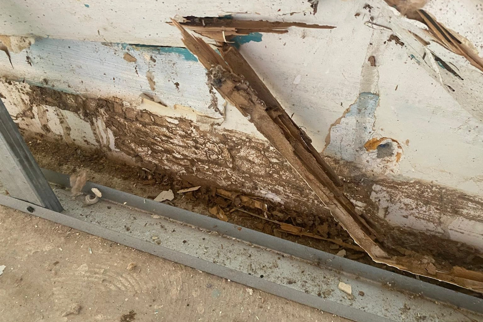 Traitement anti-termites à Lézignan-Corbières