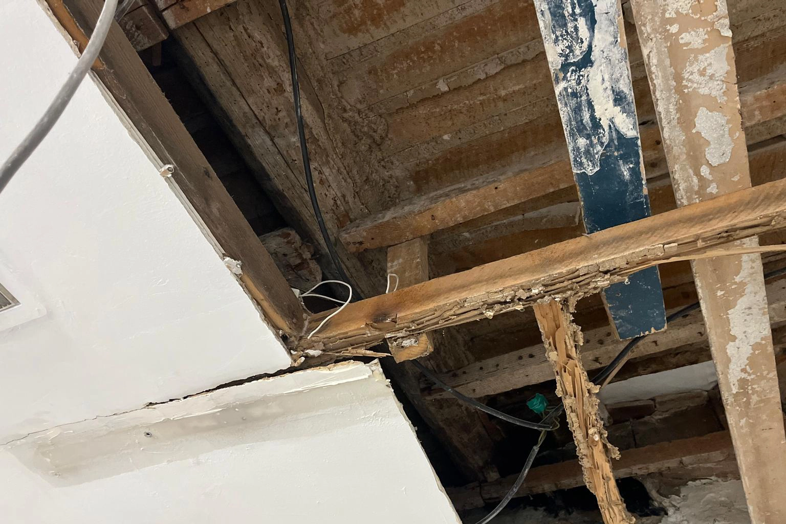 Diagnostic et traitement anti-termites à Marseille