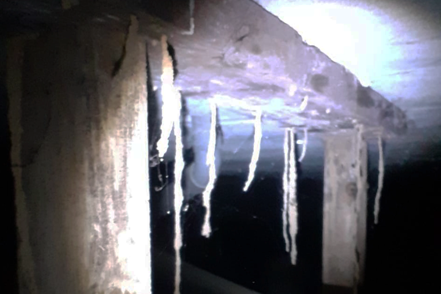 Traitement anti-termites à Martigues