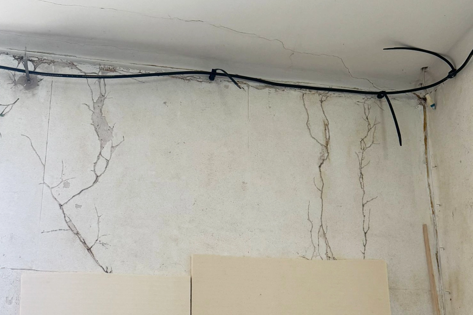 Diagnostic et traitement anti-termites à Montpellier