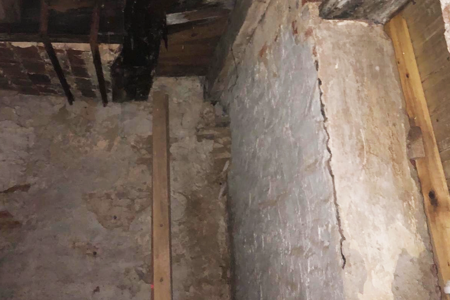 Diagnostic et traitement anti-termites à Toulouse