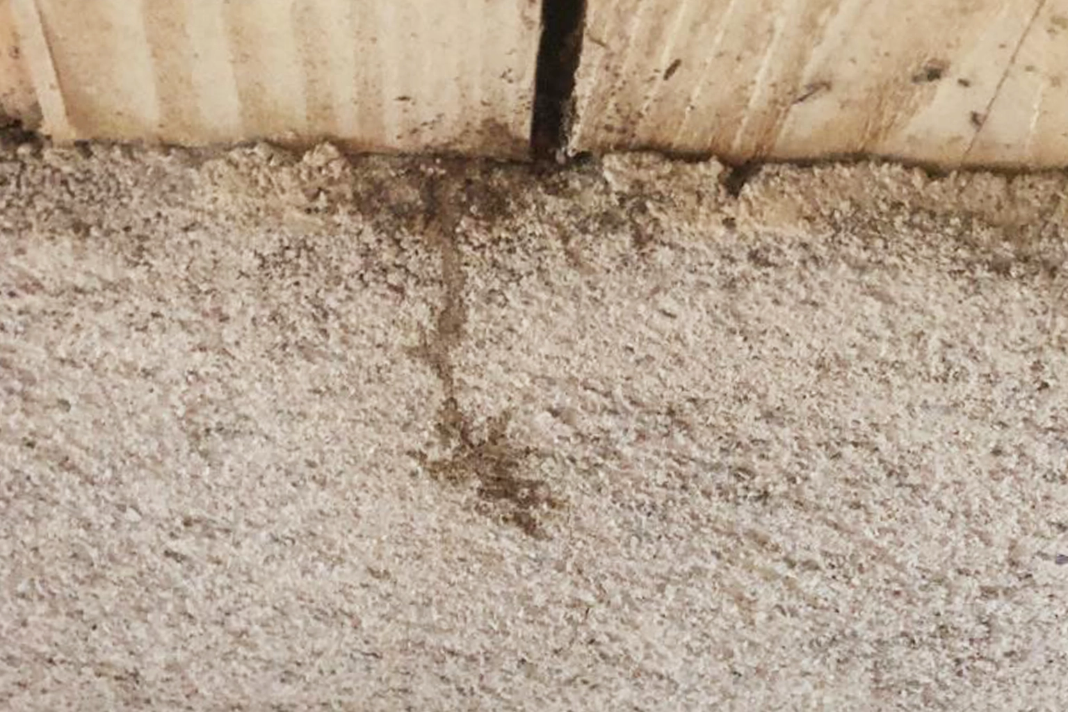 Traitement anti-termites à Tournefeuille
