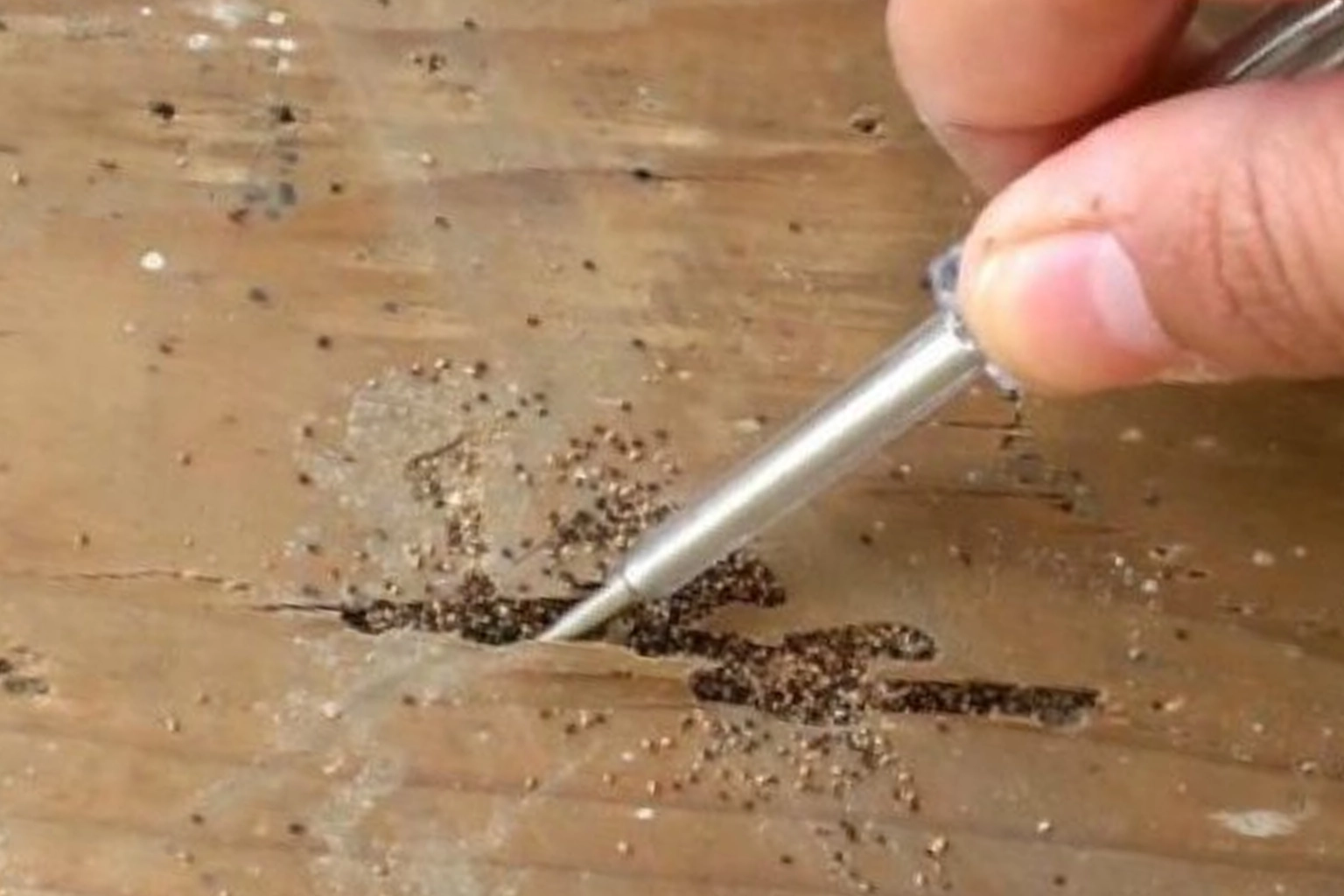 Petits trous et granulés sur un bois attaqué par des termites de bois sec