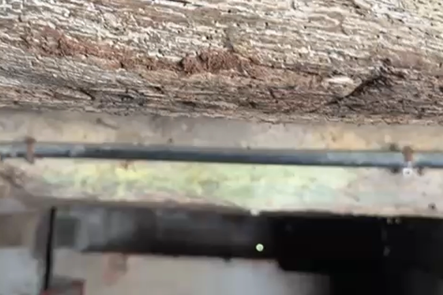 Cave et éléments en bois à inspecter pour détecter des termites