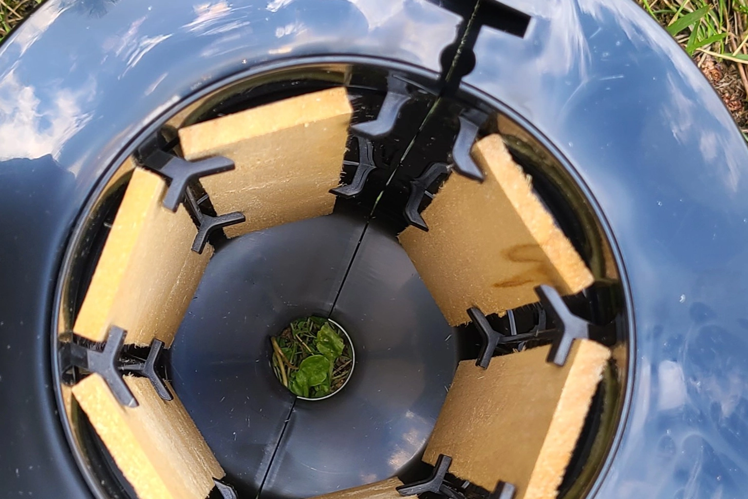 Station de surveillance et appât pour détecter et réduire la colonie de termites